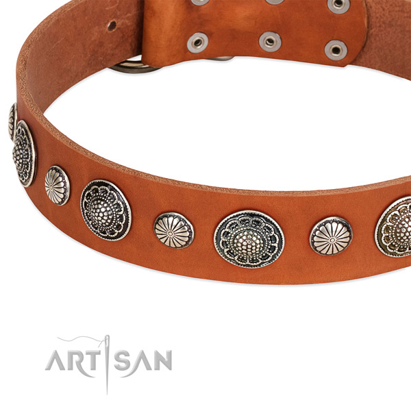 Full grain natural leather collar with corrosion proof D-ring for your handsome canine