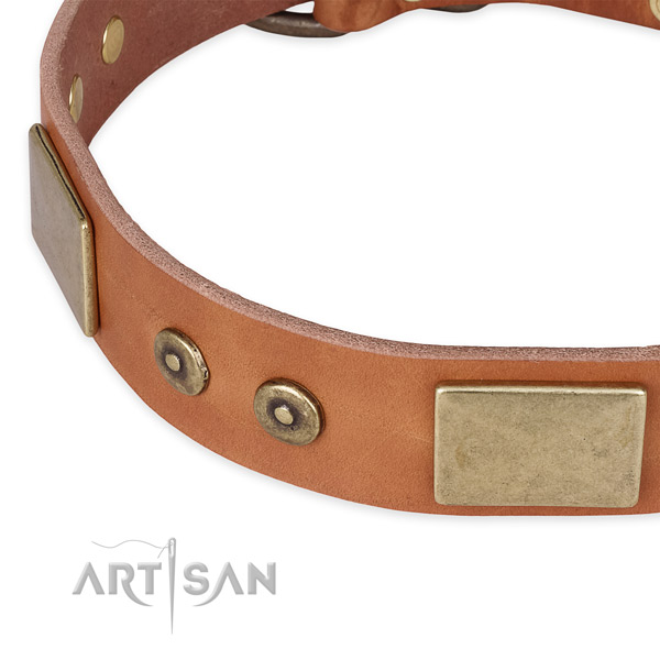 Corrosion proof embellishments on leather dog collar for your canine