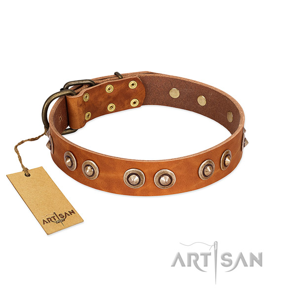 Strong studs on full grain natural leather dog collar for your canine