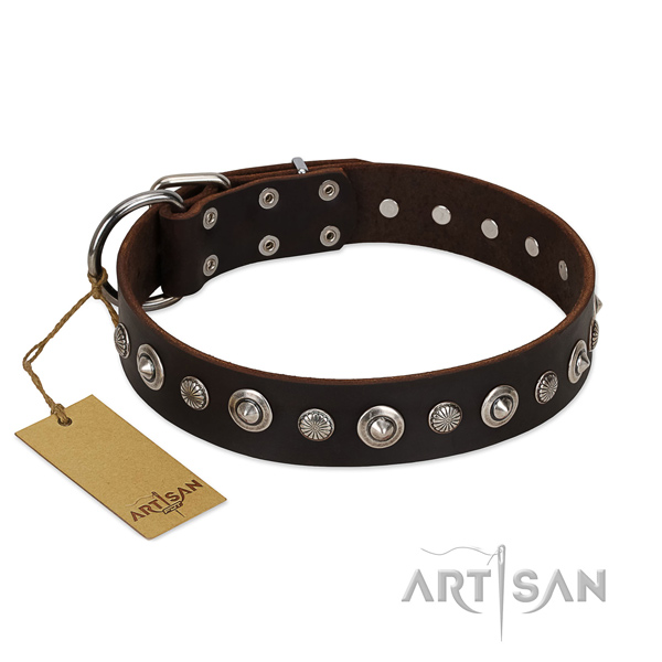 Reliable full grain leather dog collar with impressive embellishments