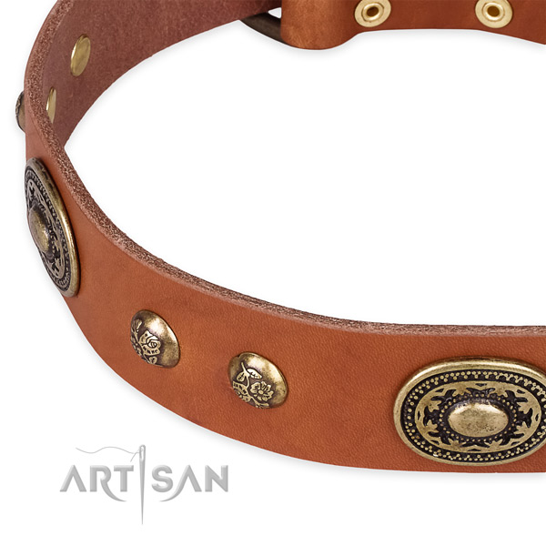 Adjustable full grain leather collar for your beautiful doggie