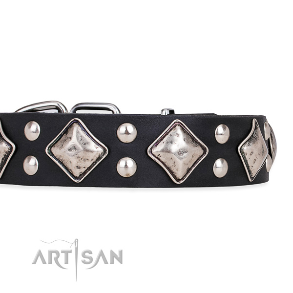 Full grain natural leather dog collar with awesome strong embellishments