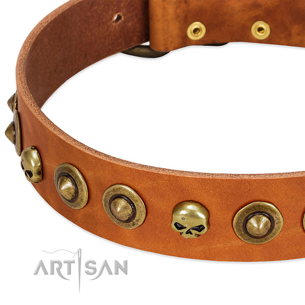 Remarkable adornments on natural leather collar for your doggie
