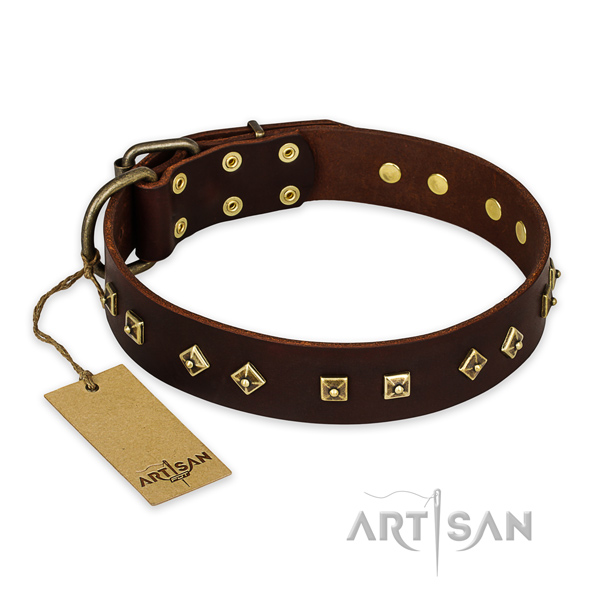 Handmade genuine leather dog collar with strong hardware