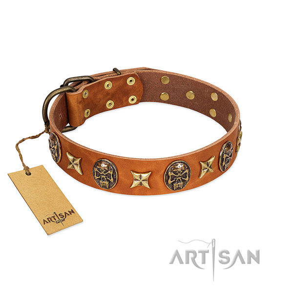Unique genuine leather collar for your dog