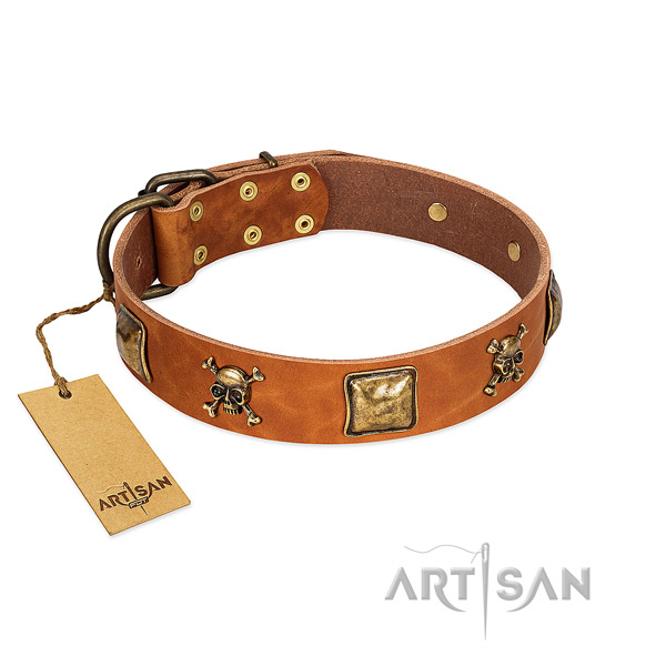 Extraordinary full grain genuine leather dog collar with durable decorations