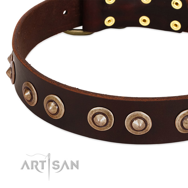 Reliable hardware on full grain leather dog collar for your four-legged friend