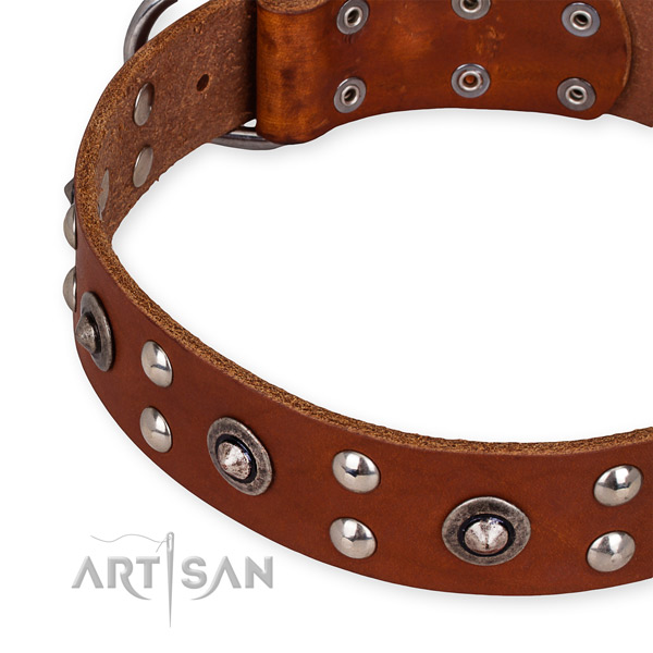 Full grain natural leather collar with rust-proof traditional buckle for your stylish canine