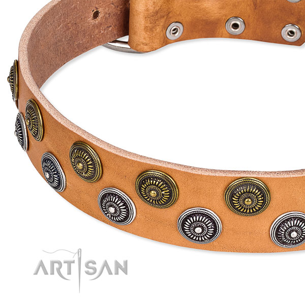 Comfortable wearing adorned dog collar of top notch full grain natural leather