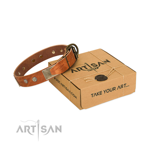 Reliable buckle on dog collar for everyday walking