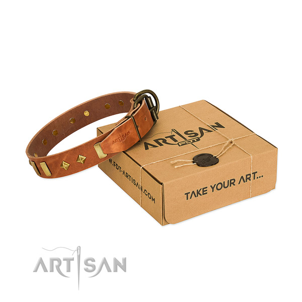 Soft full grain natural leather dog collar with durable hardware