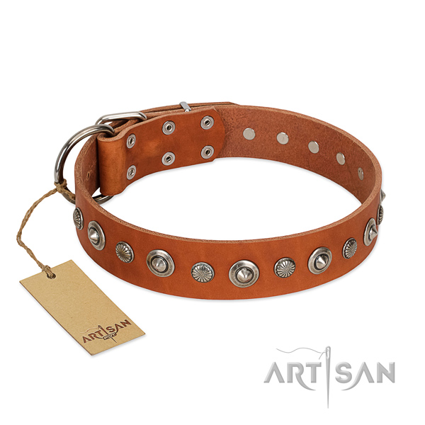 Fine quality genuine leather dog collar with unusual decorations