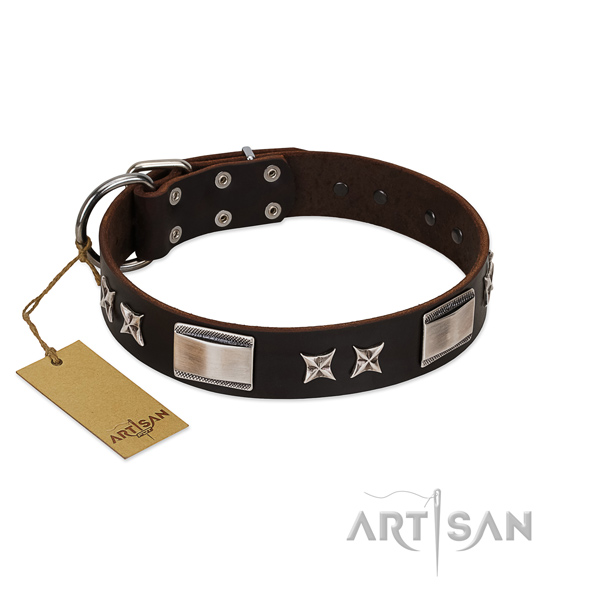 Stunning dog collar of full grain genuine leather