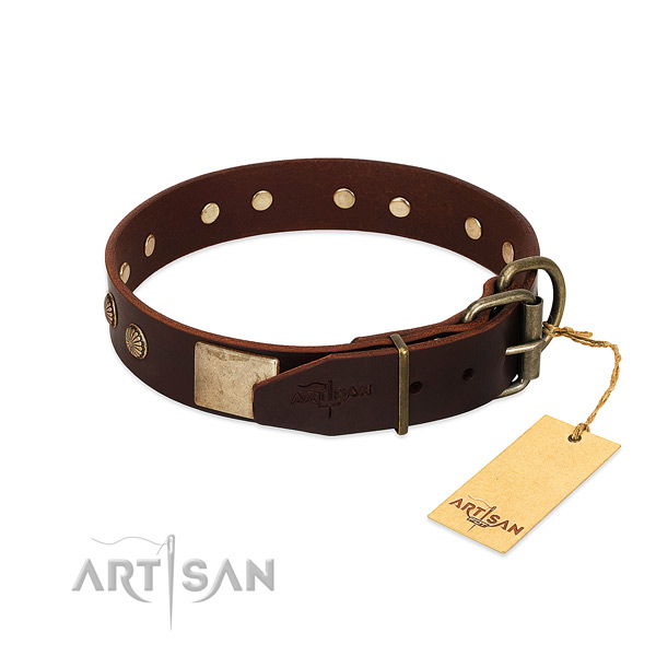 Corrosion resistant fittings on stylish walking dog collar