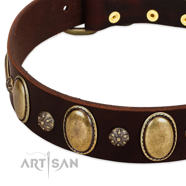 Comfy wearing reliable full grain leather dog collar