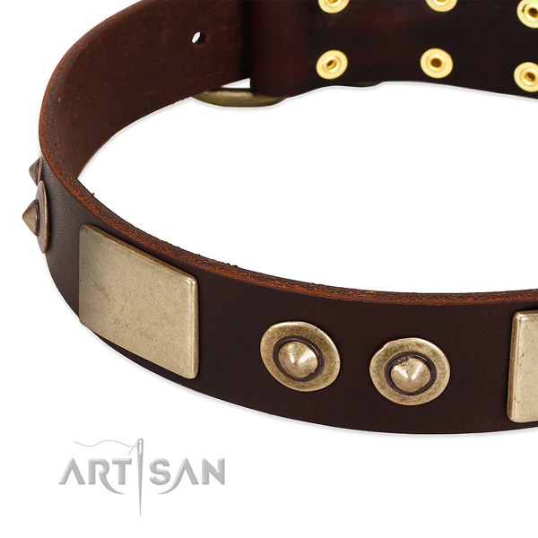 Corrosion resistant buckle on full grain genuine leather dog collar for your canine
