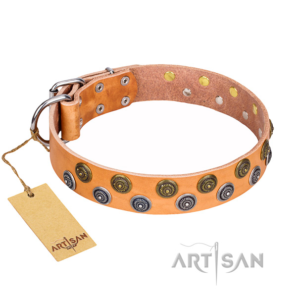 Daily use dog collar of high quality genuine leather with studs