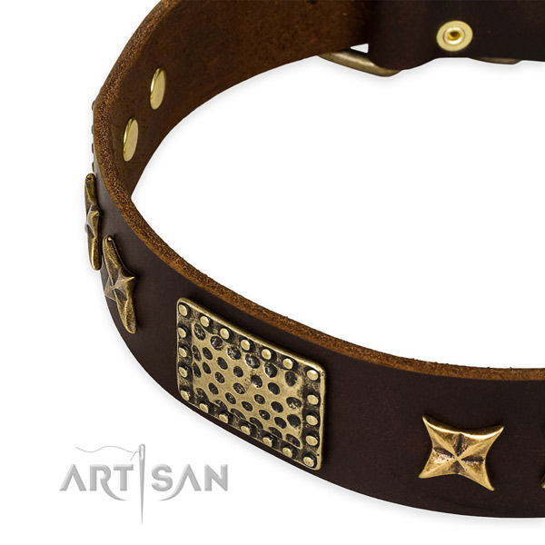 Genuine leather collar with corrosion resistant buckle for your lovely four-legged friend