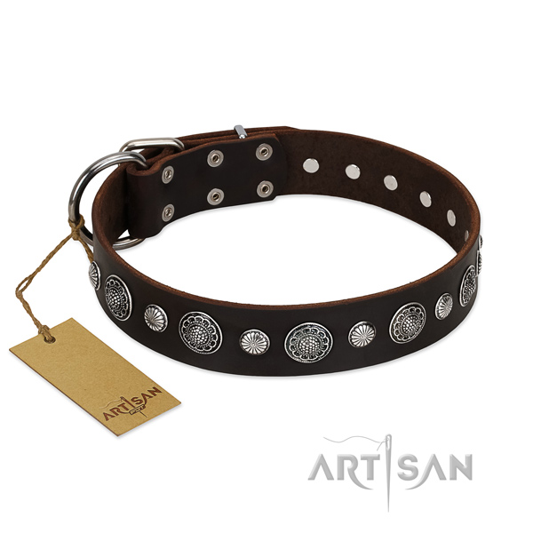 Best quality full grain leather dog collar with unique studs