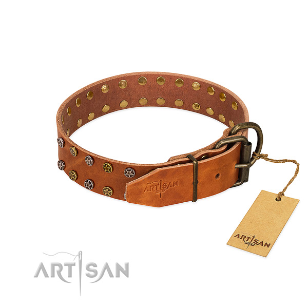 Daily use leather dog collar with unusual decorations