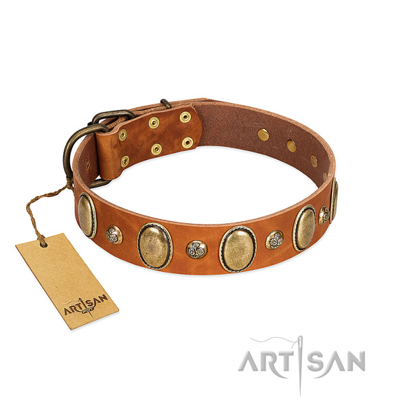 Full grain leather dog collar of gentle to touch material with awesome embellishments