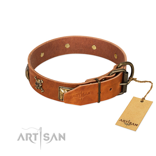 Unusual leather dog collar with rust-proof studs