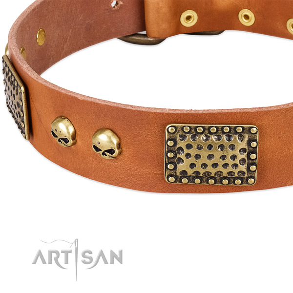 Strong adornments on full grain leather dog collar for your doggie