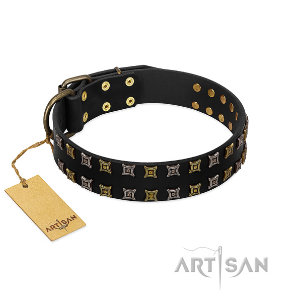 Top rate leather dog collar with embellishments for your canine
