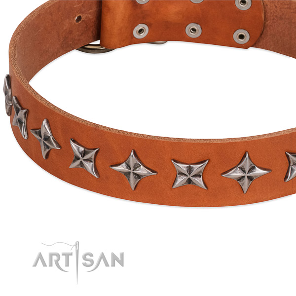 Walking embellished dog collar of high quality genuine leather