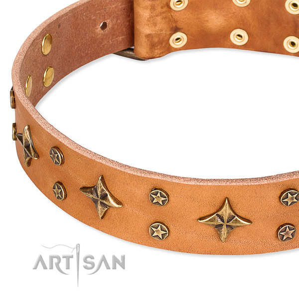 Basic training studded dog collar of reliable natural leather
