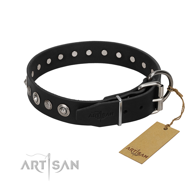 Reliable natural leather dog collar with unusual embellishments