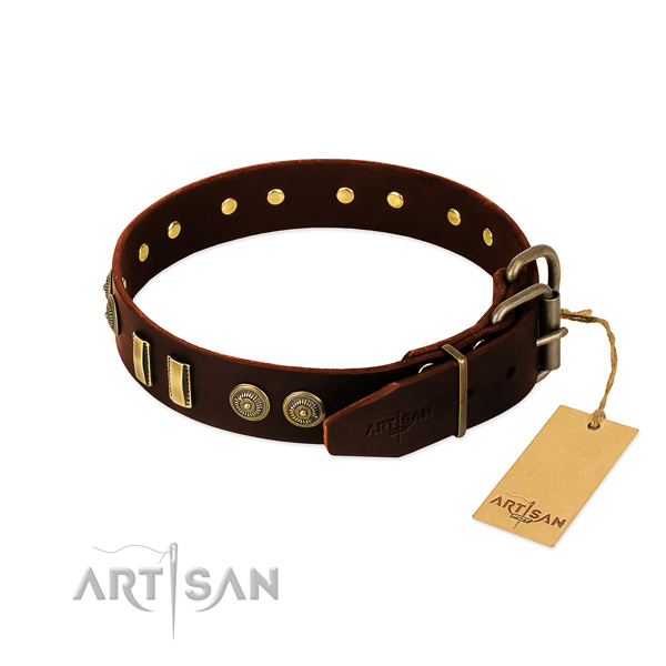 Rust resistant studs on leather dog collar for your canine