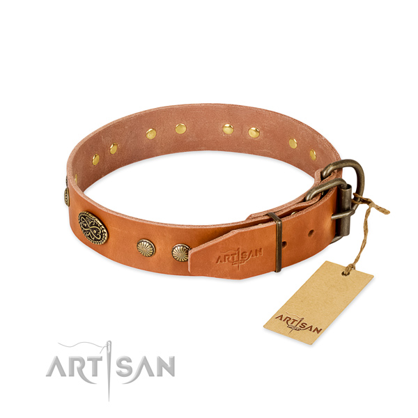 Durable studs on genuine leather dog collar for your dog