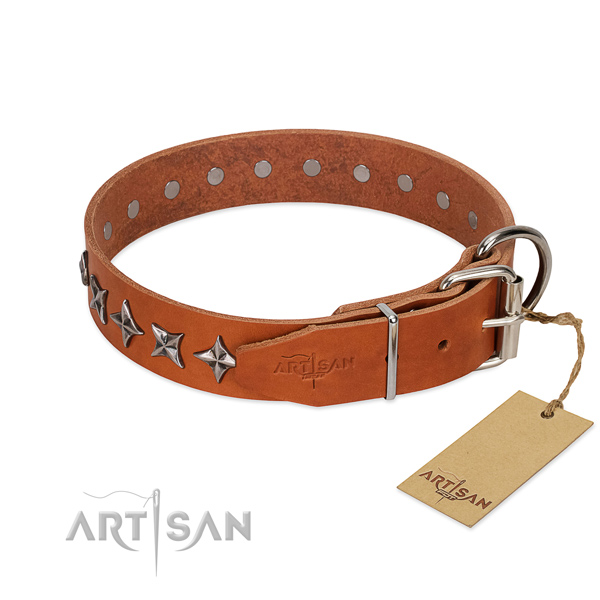 Easy wearing studded dog collar of reliable genuine leather