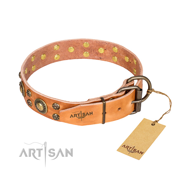 Handy use studded dog collar of high quality leather