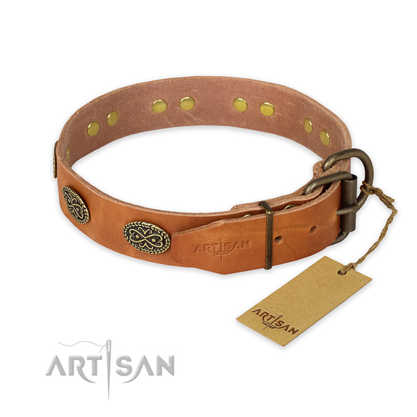 Corrosion proof traditional buckle on leather collar for walking your dog