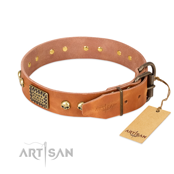 Strong traditional buckle on comfortable wearing dog collar