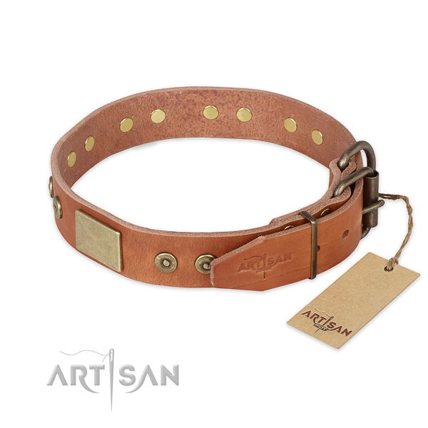 Strong traditional buckle on full grain leather collar for daily walking your four-legged friend
