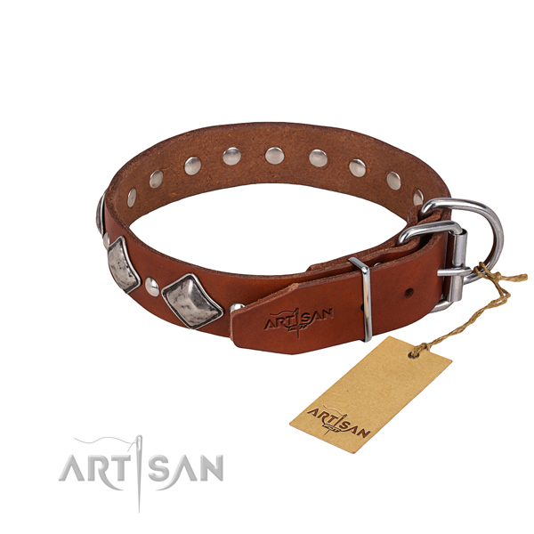 Daily use studded dog collar of top quality natural leather