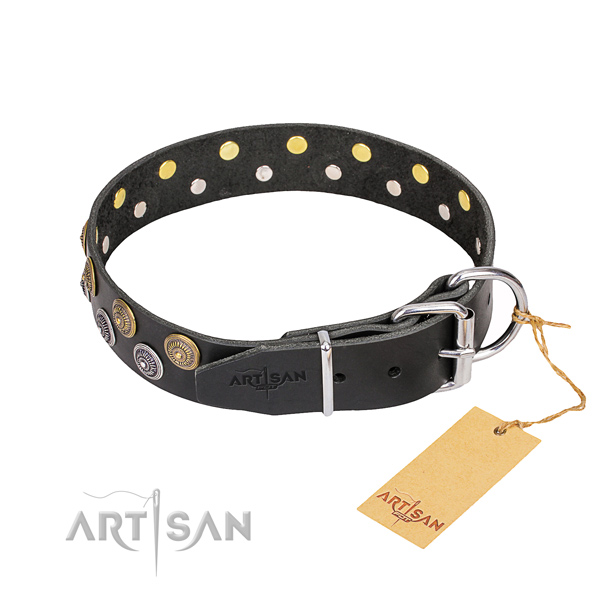 Fancy walking studded dog collar of reliable full grain leather