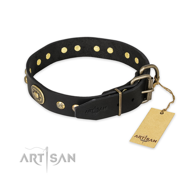 Durable traditional buckle on leather collar for daily walking your canine