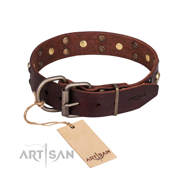 Everyday use decorated dog collar of quality genuine leather