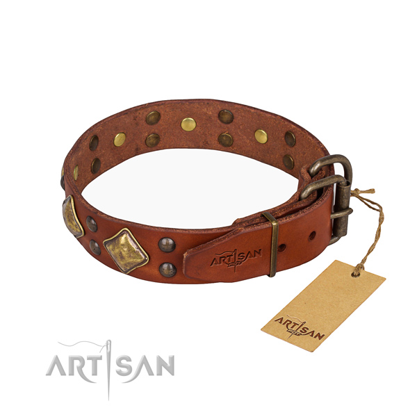 Genuine leather dog collar with incredible rust resistant studs