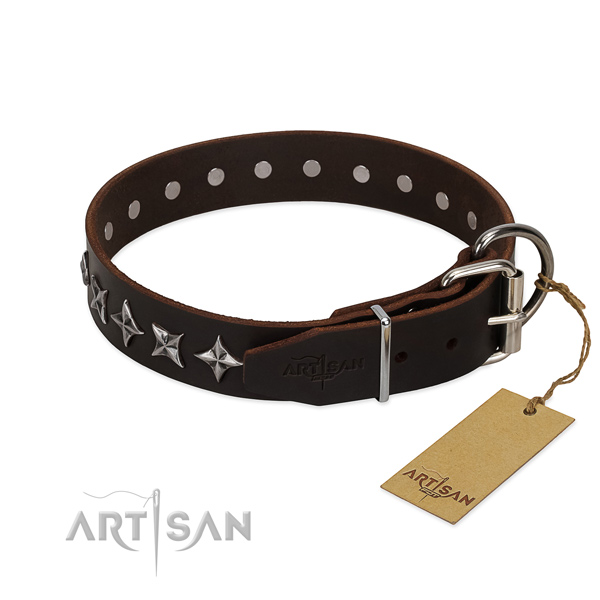 Everyday walking decorated dog collar of high quality full grain leather
