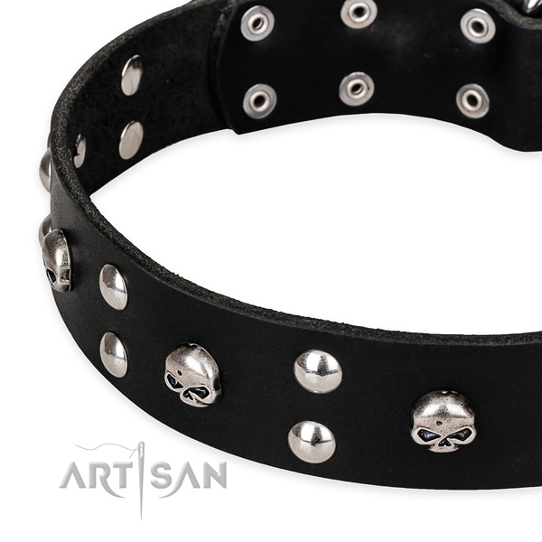 Comfortable wearing adorned dog collar of top notch full grain leather