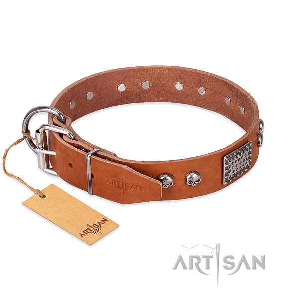 Corrosion proof hardware on everyday use dog collar