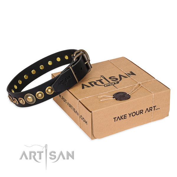 Top rate full grain genuine leather dog collar created for everyday use