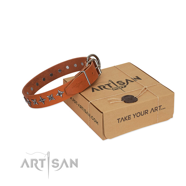 Easy wearing dog collar of high quality genuine leather with adornments