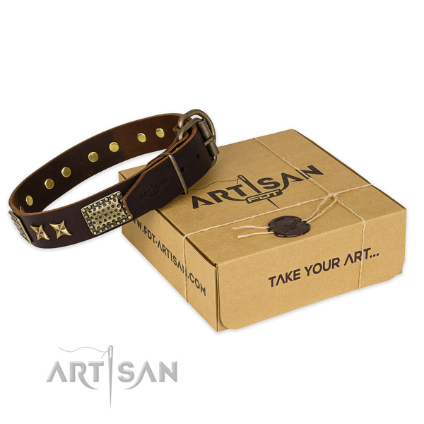 Corrosion proof fittings on full grain genuine leather collar for your handsome doggie