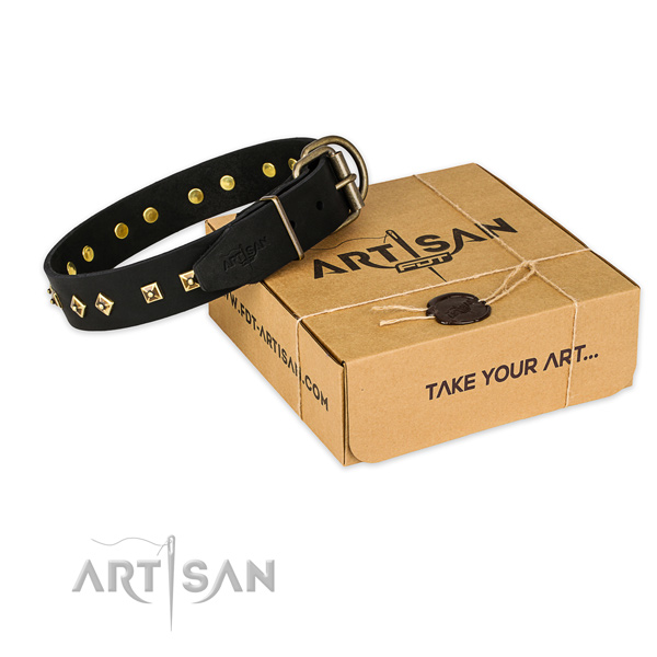 Strong hardware on genuine leather collar for your beautiful canine